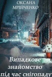 "Випадкове знайомство під час снігопаду" Оксана Мрійченко