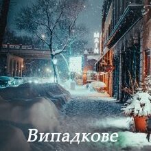 "Випадкове знайомство під час снігопаду" Оксана Мрійченко
