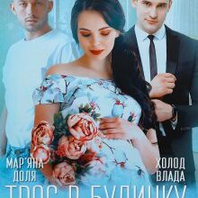 "Троє в будинку, не рахуючи дитини" Мар'яна Доля, Холод Влада