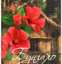 «Бунгало» Сара Джіо