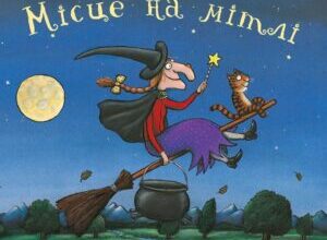 “Місце на мітлі” Джулія Дональдсон