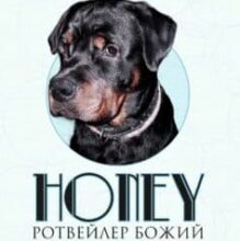 «Honey, ротвейлер Божий» Василь Андрійович Базів