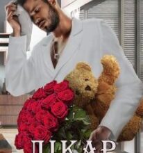 «Лікар моєї мрії» Галлея Сандер-Лін