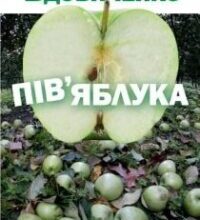 Аудіокнига «Пів’яблука» Галина Вдовиченко