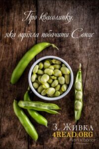 Аудіокнига «Про квасолинку, яка мріяла побачити Сонце» Зоряна Живка