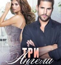 «Три Ангели для мільярдера. Весільний кортеж» Тала Тоцка