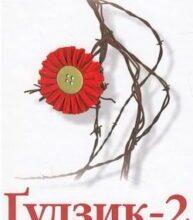 Аудіокнига «Ґудзик 2. Десять років по тому» Ірен Роздобудько