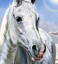 Аудіокнига «Білий кінь Шептало» Володимир Дрозд